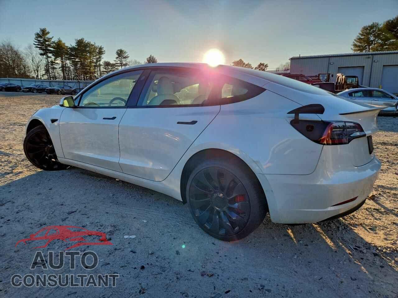 TESLA MODEL 3 2023 - 5YJ3E1ECXPF480681