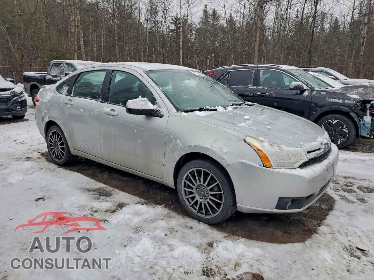 FORD FOCUS 2009 - 1FAHP36N19W228351