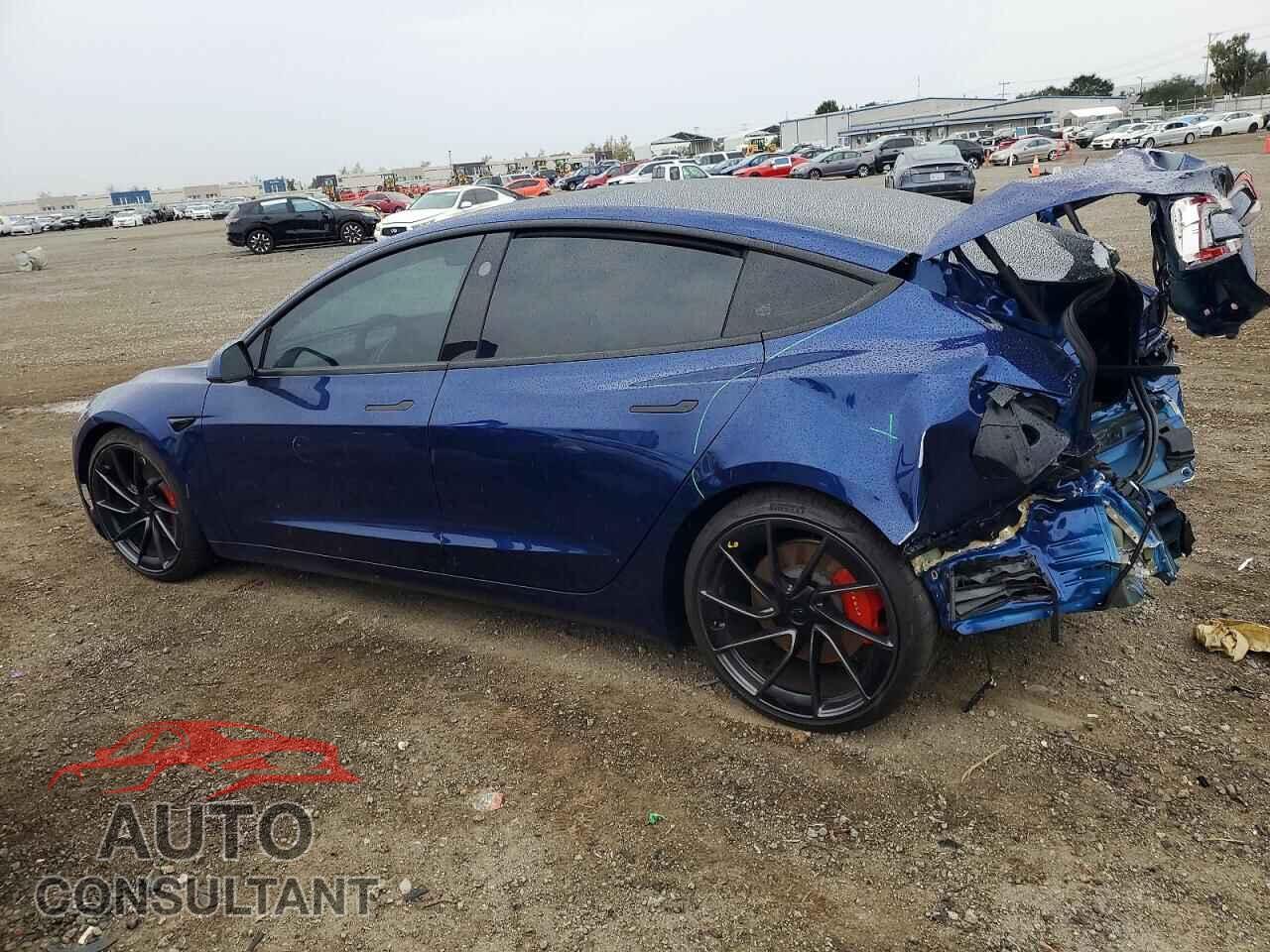 TESLA MODEL 3 2025 - 5YJ3E1ET3SF028502