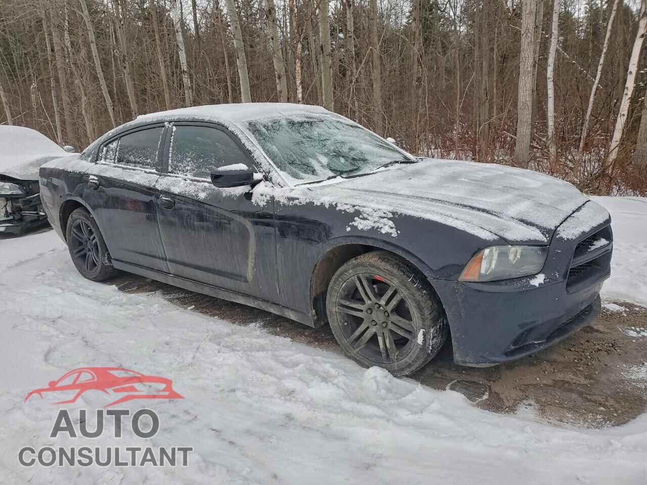 DODGE CHARGER 2013 - 2C3CDXHG4DH593136