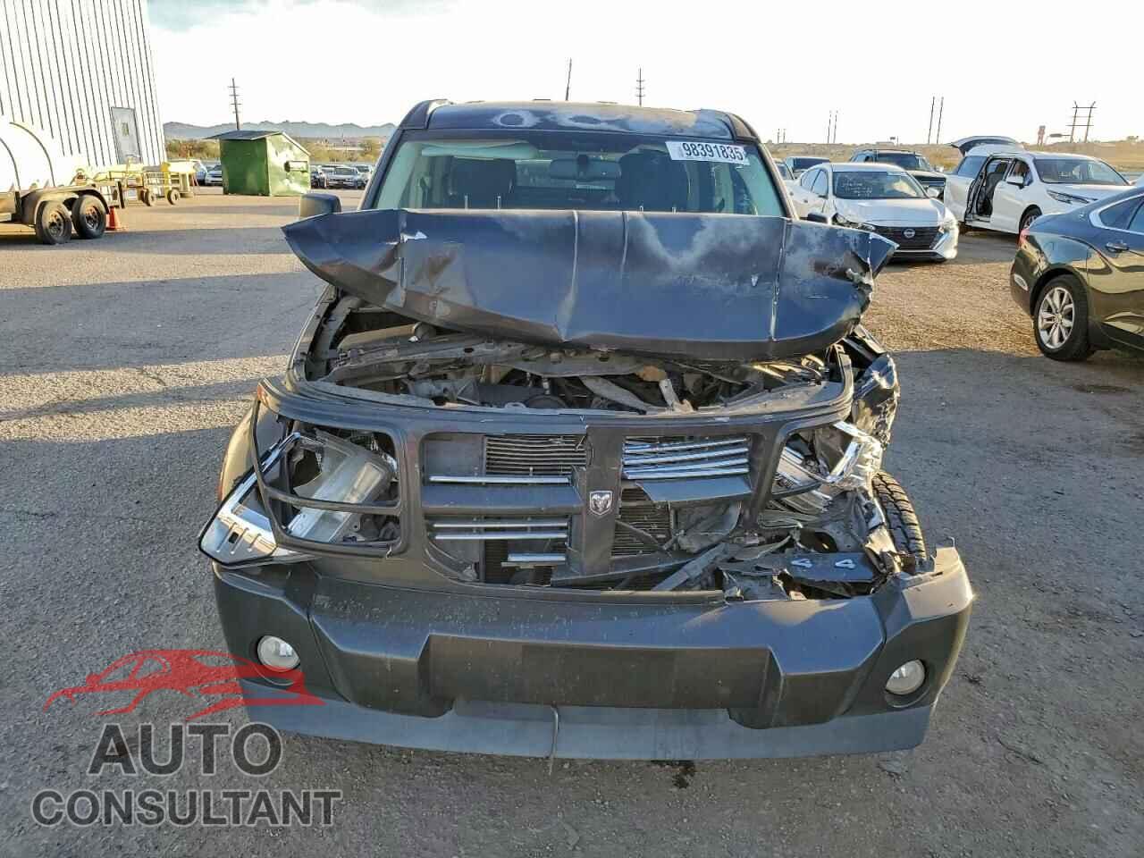 DODGE NITRO 2011 - 1D4PU5GK9BW553739