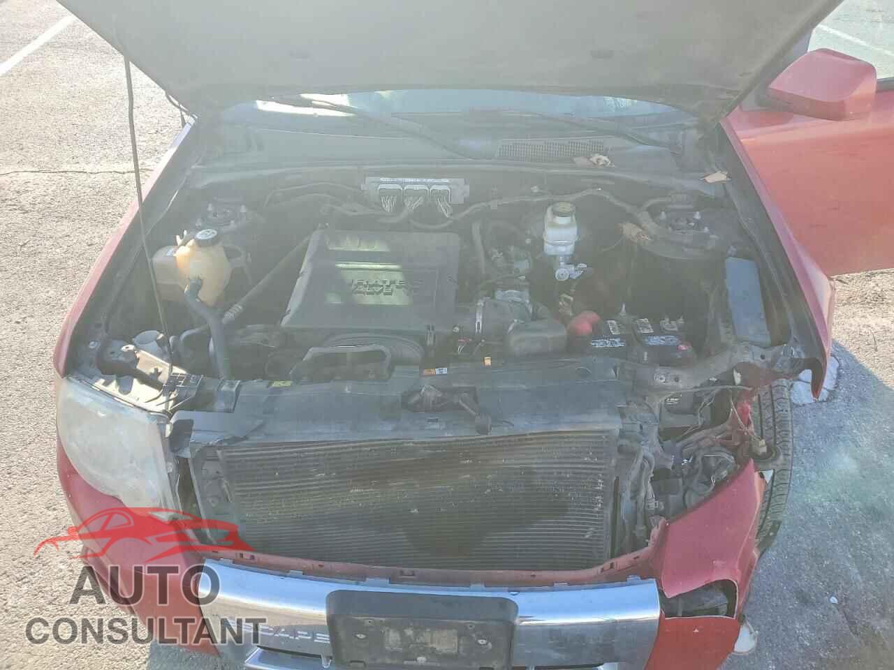 FORD ESCAPE 2011 - 1FMCU9EG2BKA33144