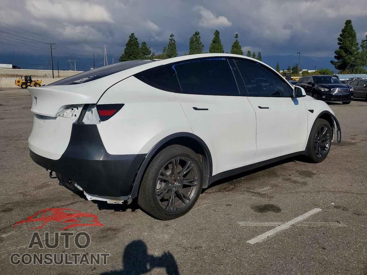 TESLA MODEL Y 2024 - 7SAYGDED2RF164076