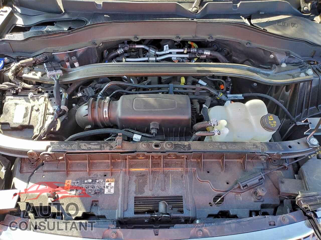 FORD EXPLORER 2022 - 1FMSK8FHXNGC18147