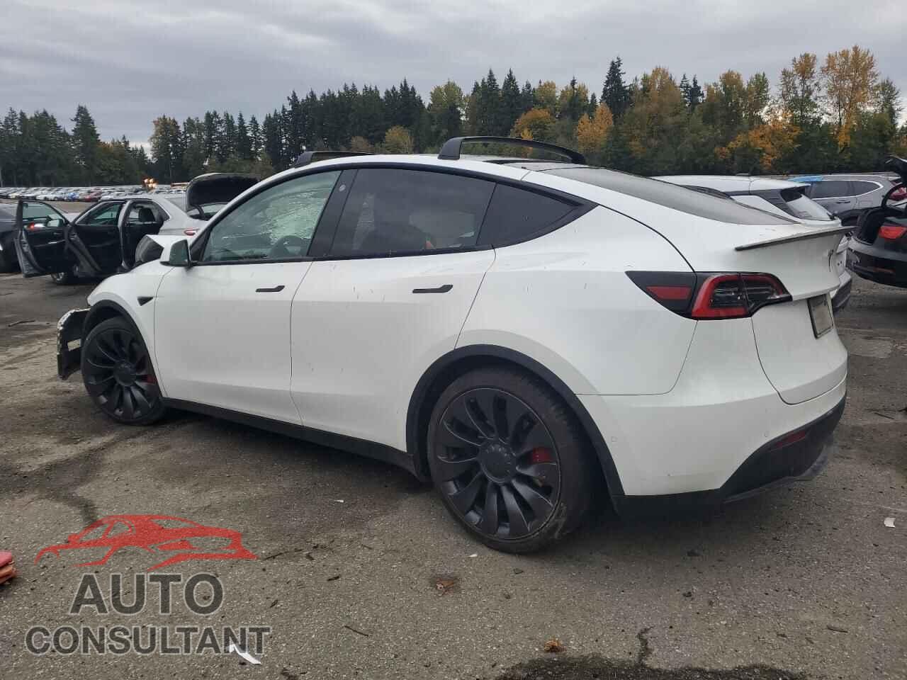 TESLA MODEL Y 2021 - 5YJYGDEF1MF094013