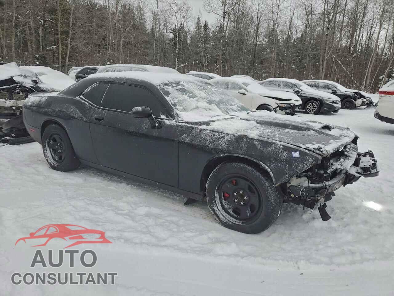 DODGE CHALLENGER 2017 - 2C3CDZAG4HH619312