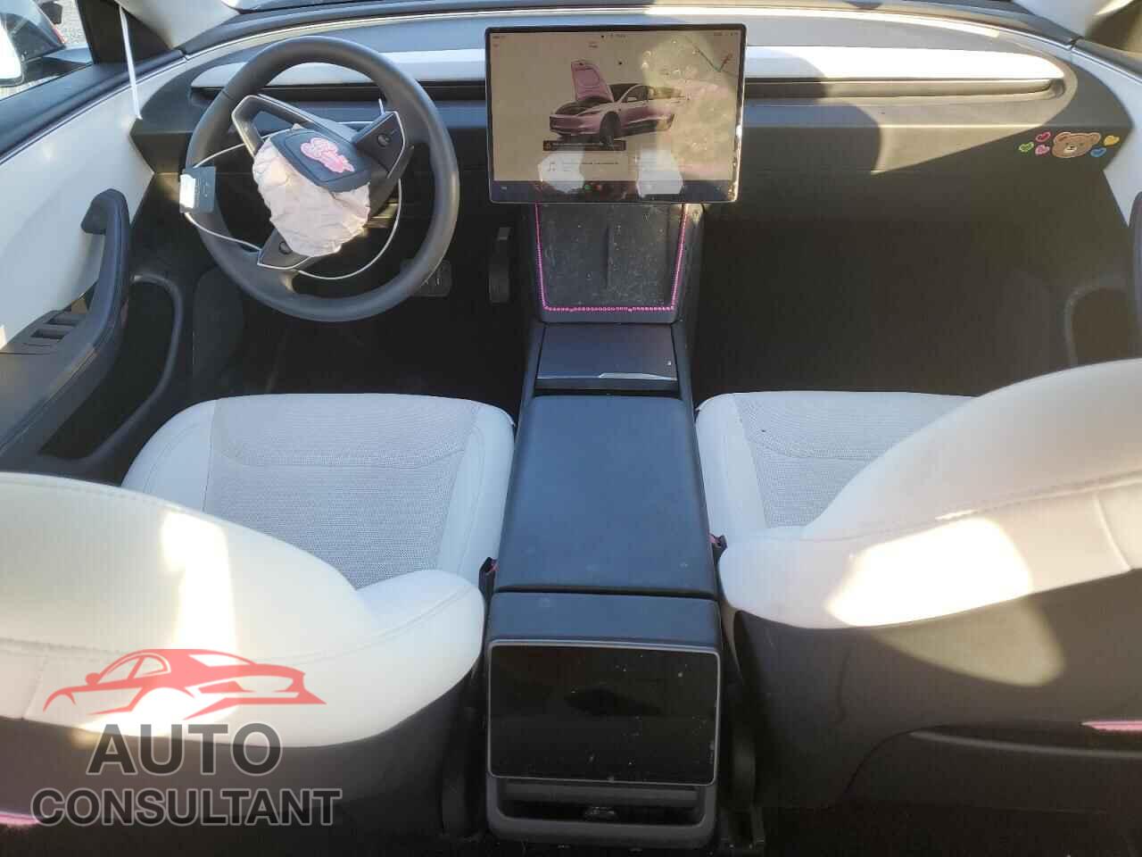 TESLA MODEL 3 2024 - 5YJ3E1EA7RF866704