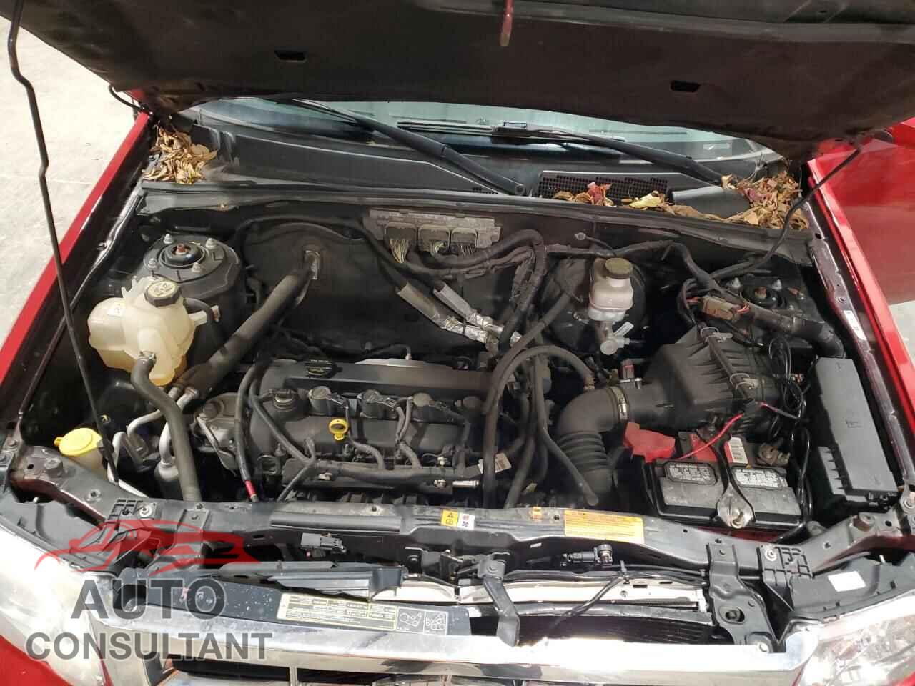FORD ESCAPE 2010 - 1FMCU9E7XAKB82397