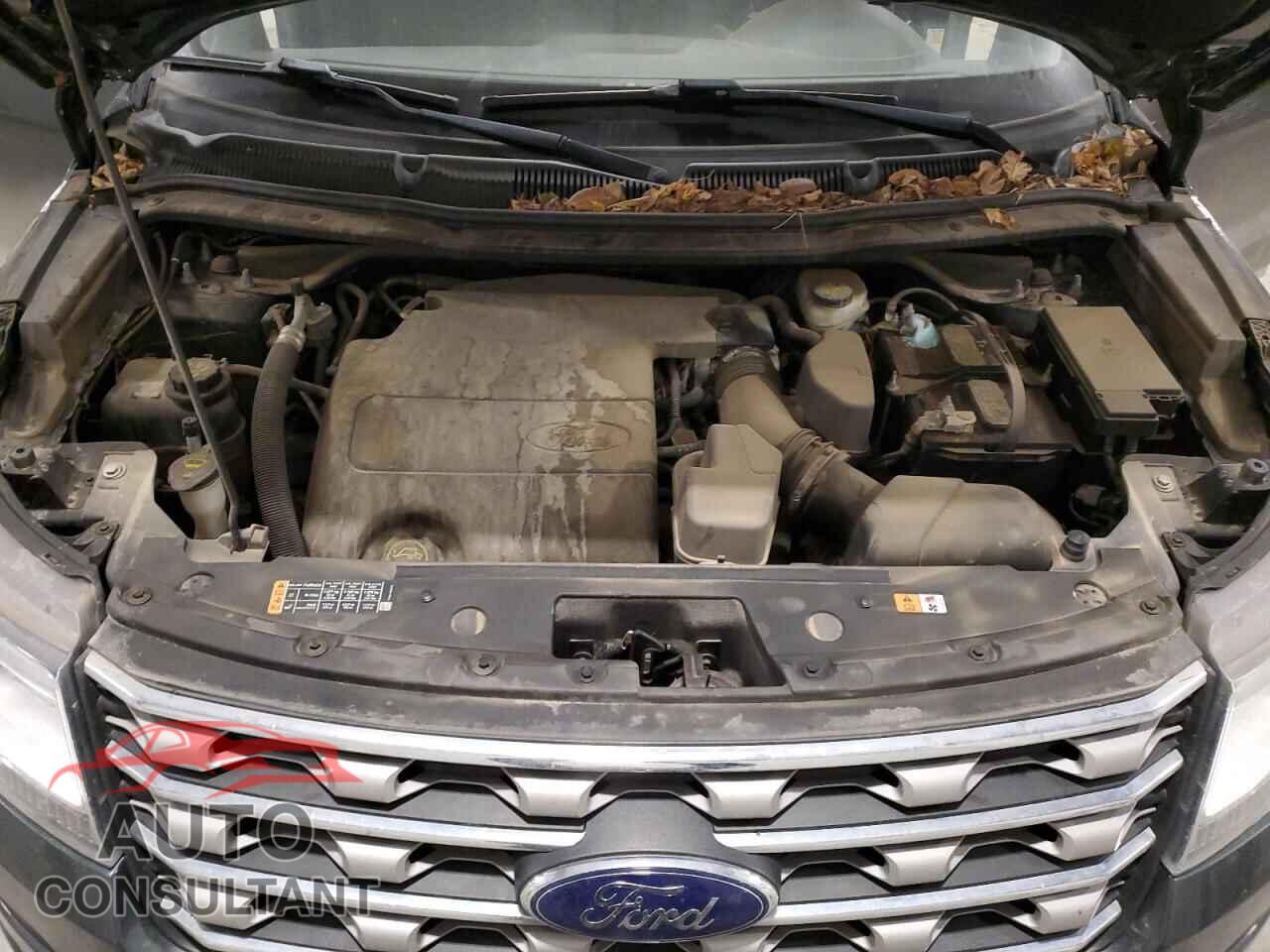FORD EXPLORER 2016 - 1FM5K8D82GGB86720
