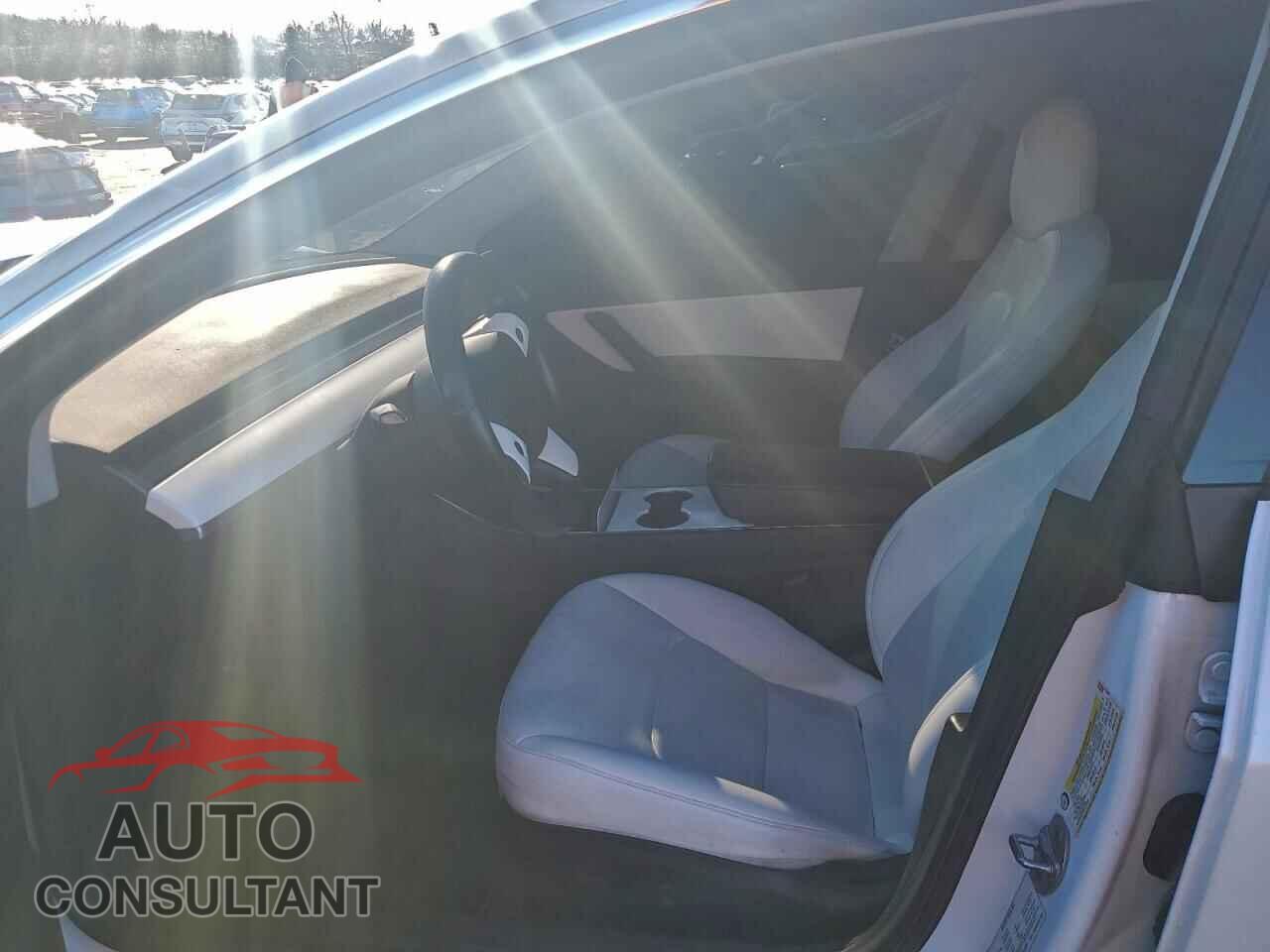 TESLA MODEL 3 2019 - 5YJ3E1EB9KF213595