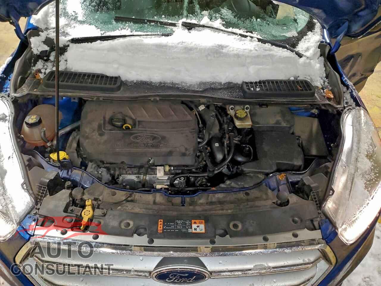 FORD ESCAPE 2017 - 1FMCU0GD5HUD26371