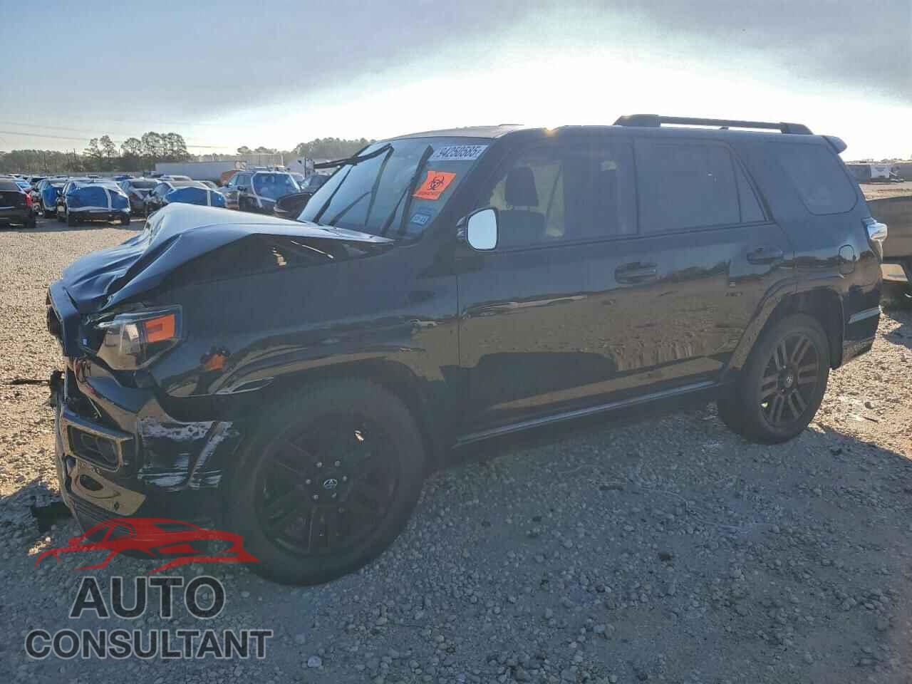 TOYOTA 4RUNNER 2019 - JTEZU5JR4K5208311