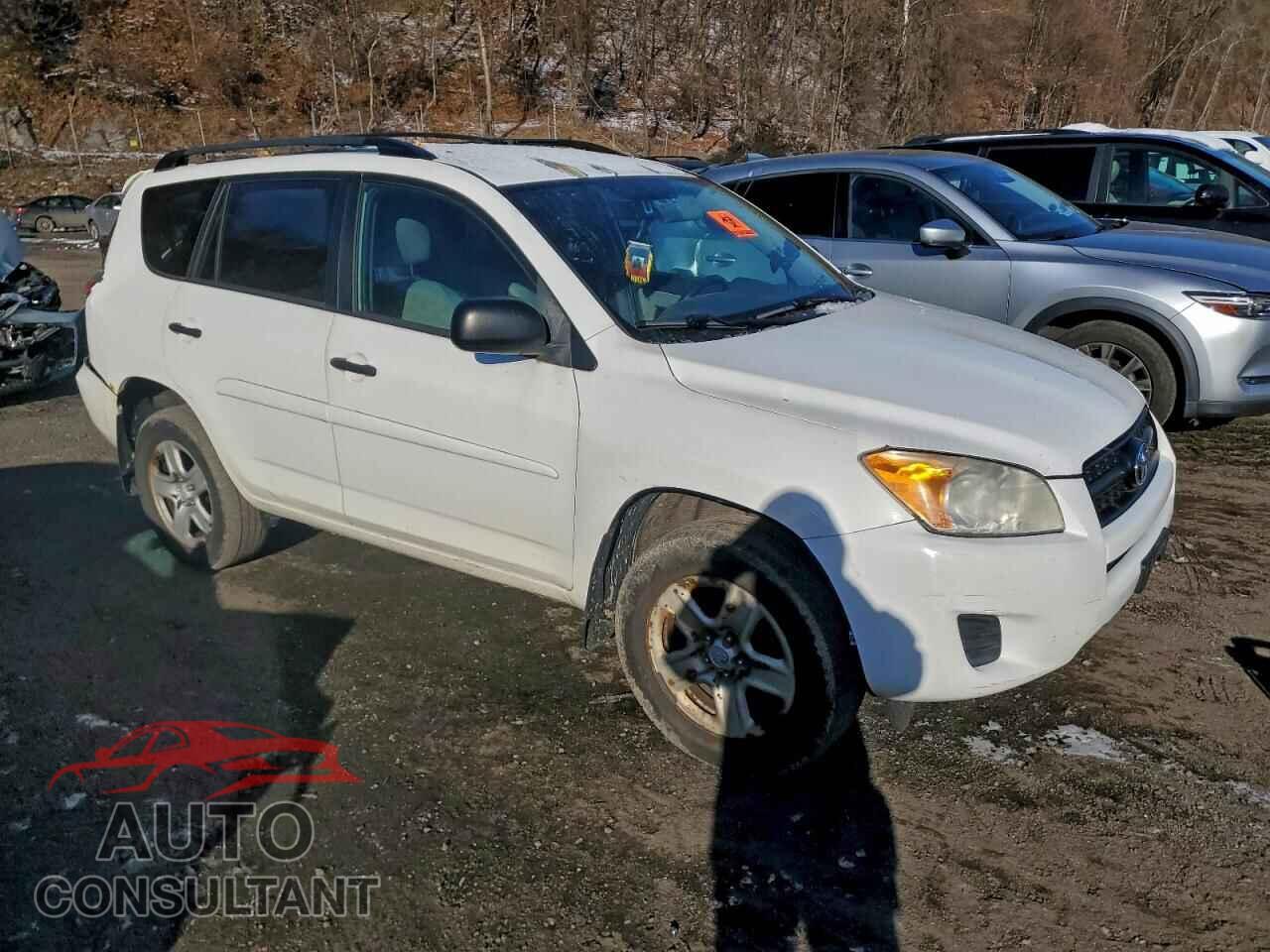 TOYOTA RAV4 2011 - 2T3JF4DV8BW115363