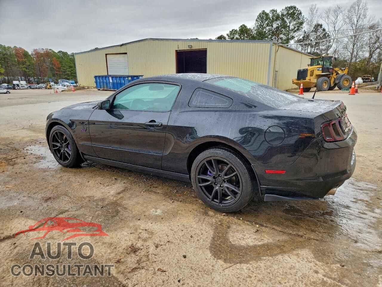 FORD MUSTANG 2014 - 1ZVBP8CF3E5220811