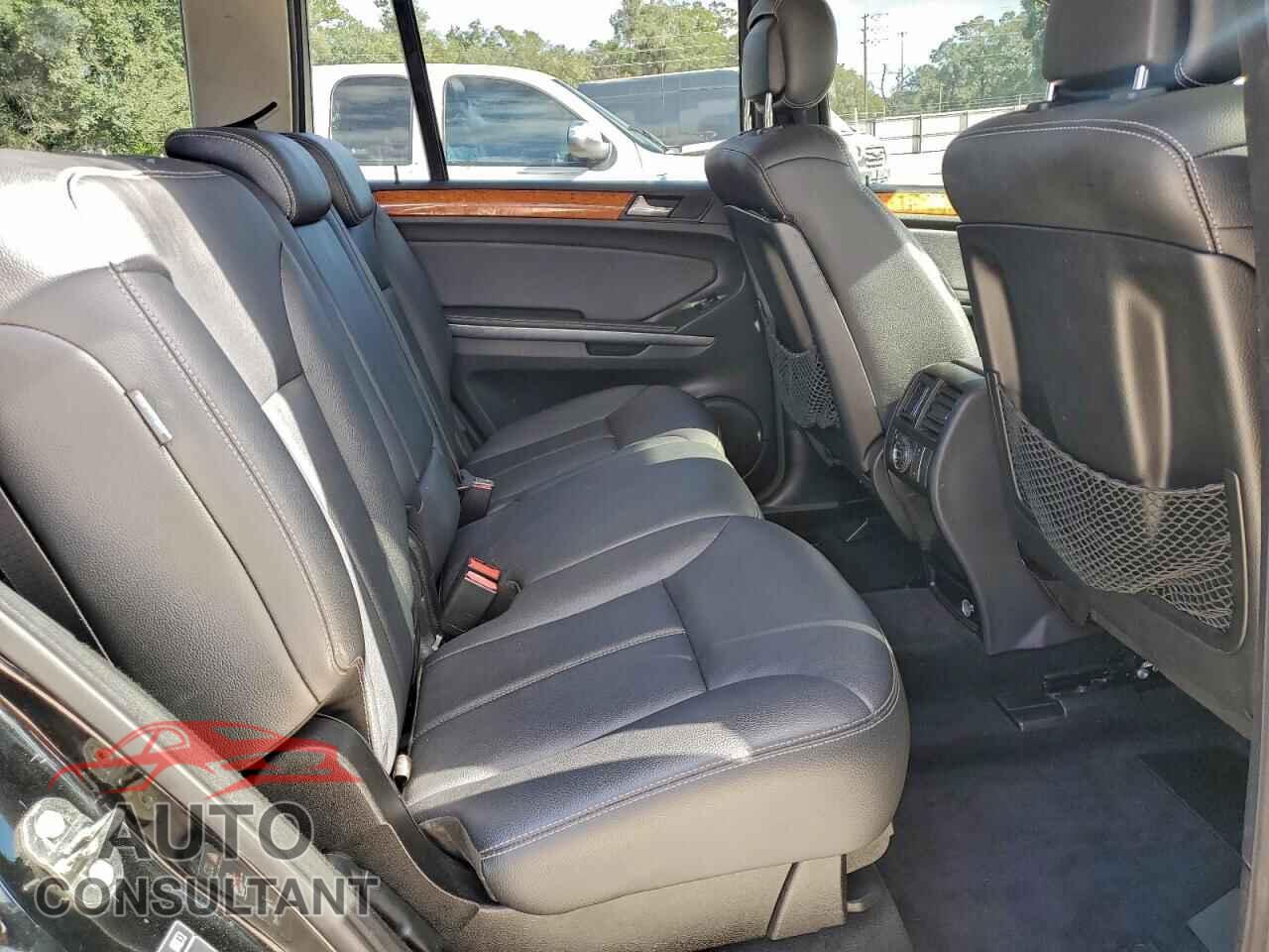 MERCEDES-BENZ GL-CLASS 2009 - 4JGBF71E39A511473