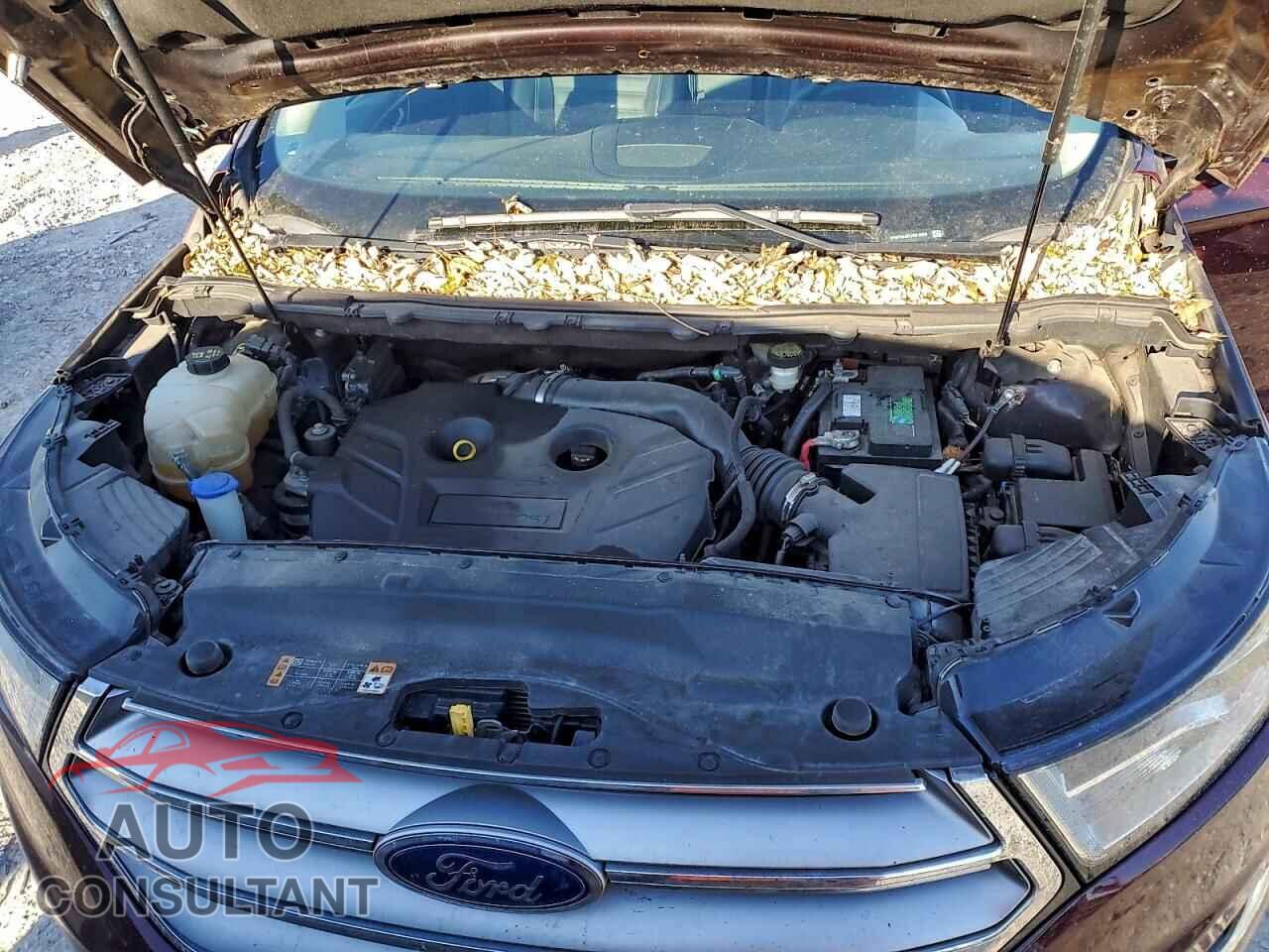 FORD EDGE 2018 - 2FMPK4J9XJBB18906