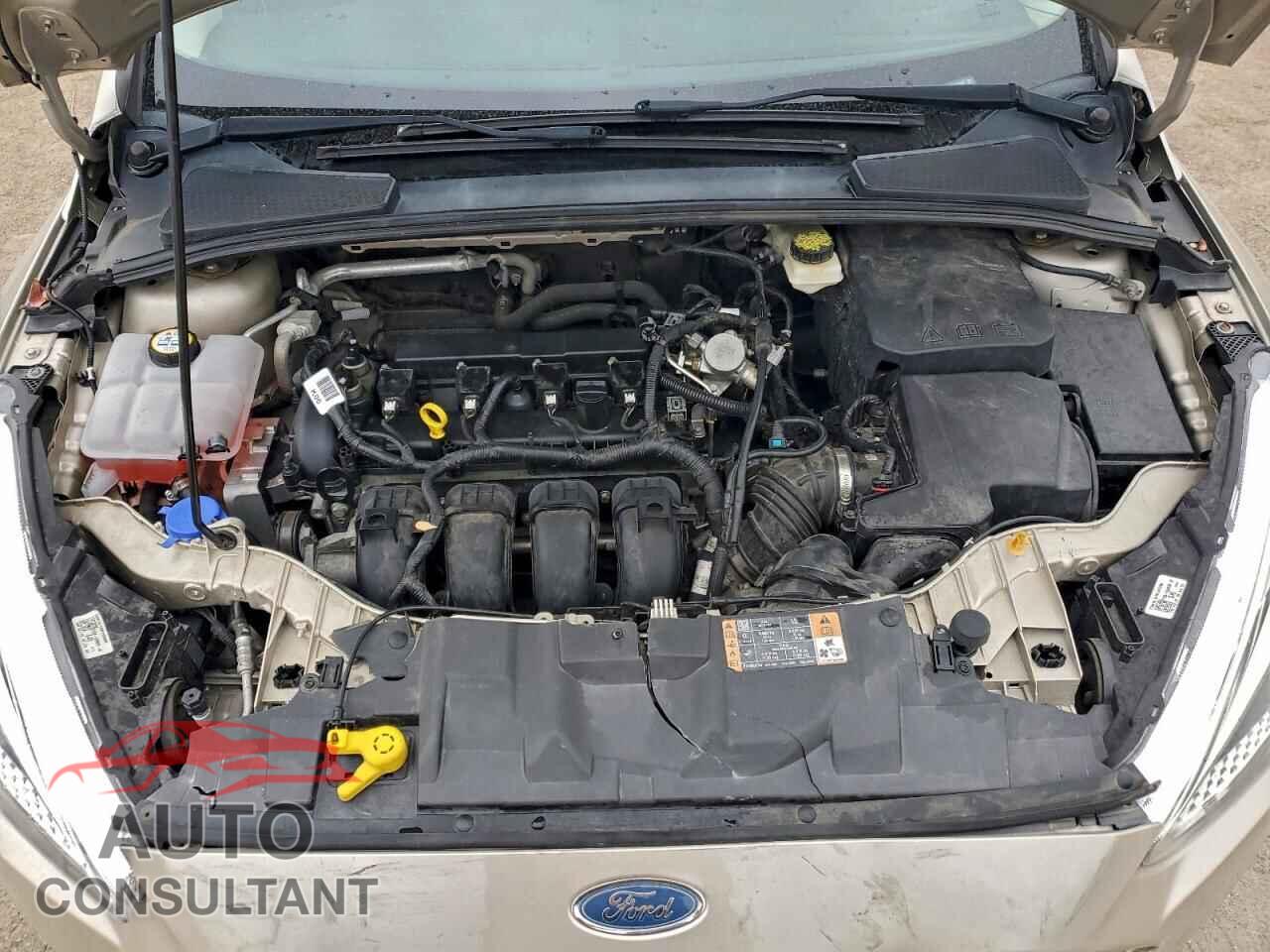 FORD FOCUS 2017 - 1FADP3F23HL210289