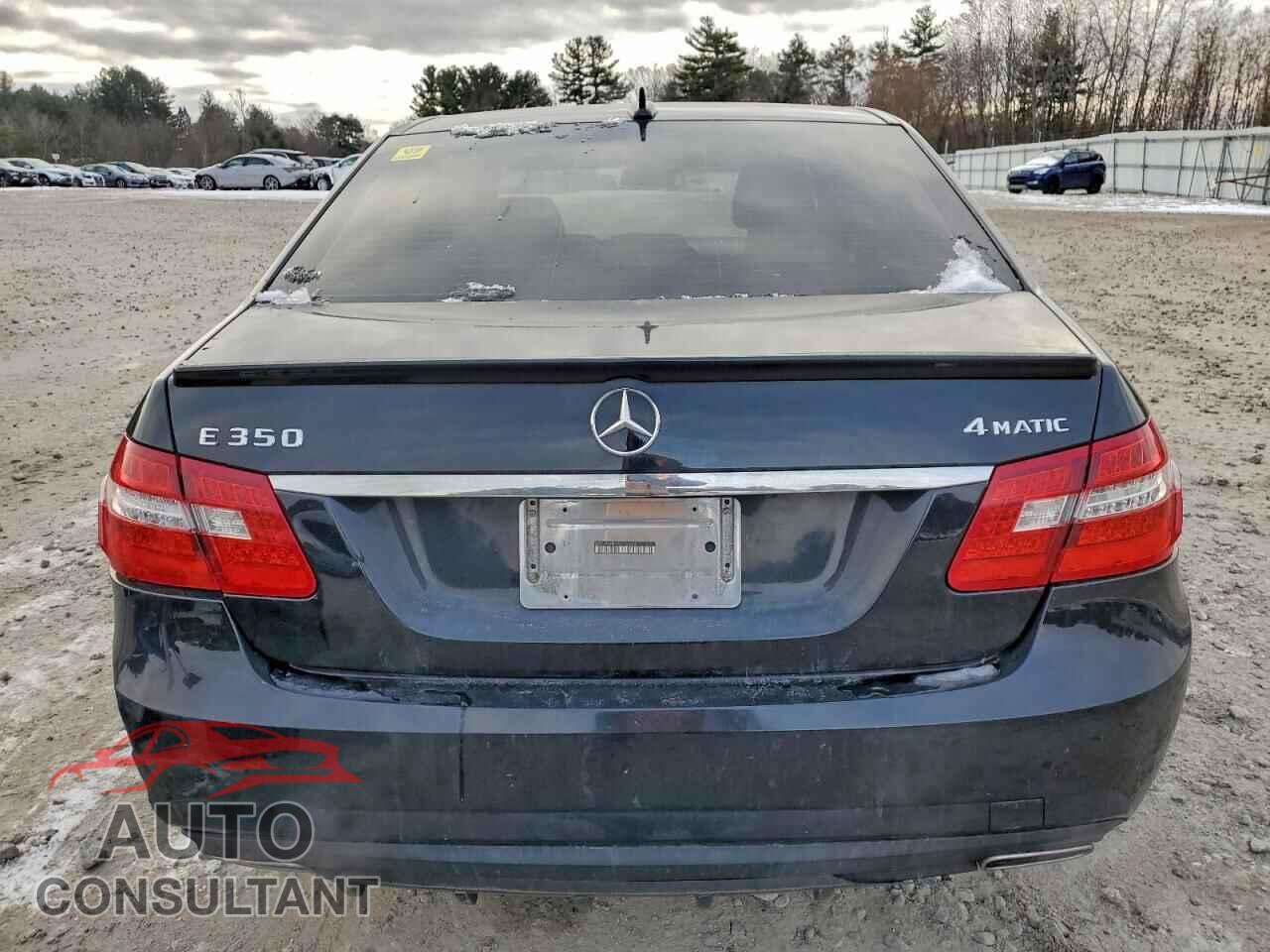 MERCEDES-BENZ E-CLASS 2010 - WDDHF8HB3AA117014
