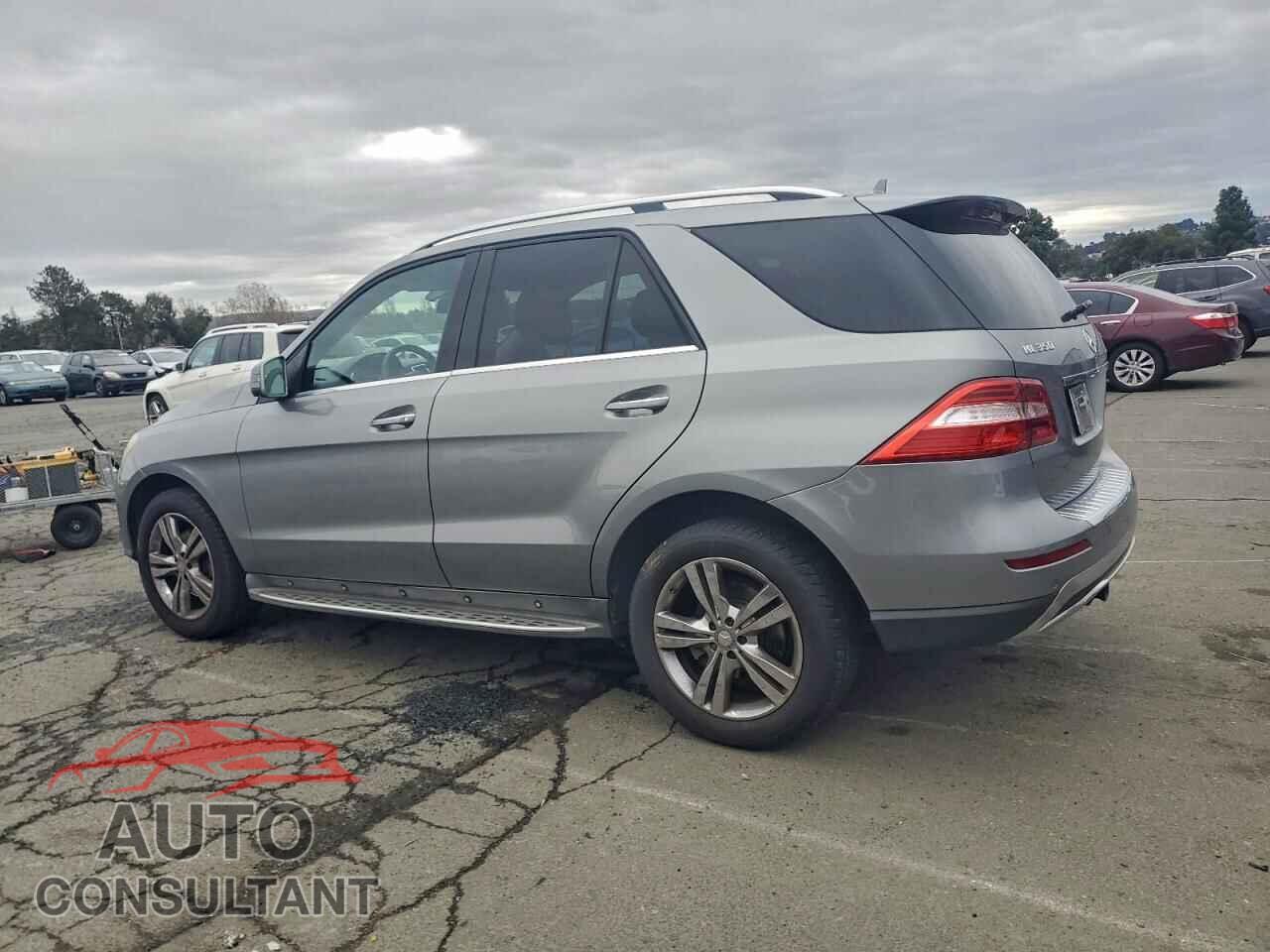 MERCEDES-BENZ M-CLASS 2014 - 4JGDA2EBXEA420768