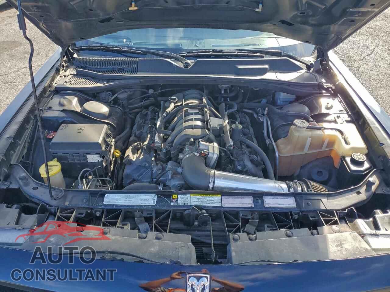 DODGE CHALLENGER 2009 - 2B3LJ54T19H511495