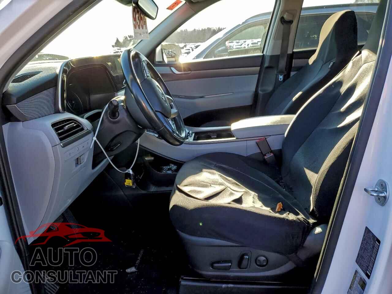 HYUNDAI PALISADE 2020 - KM8R2DHEXLU090131