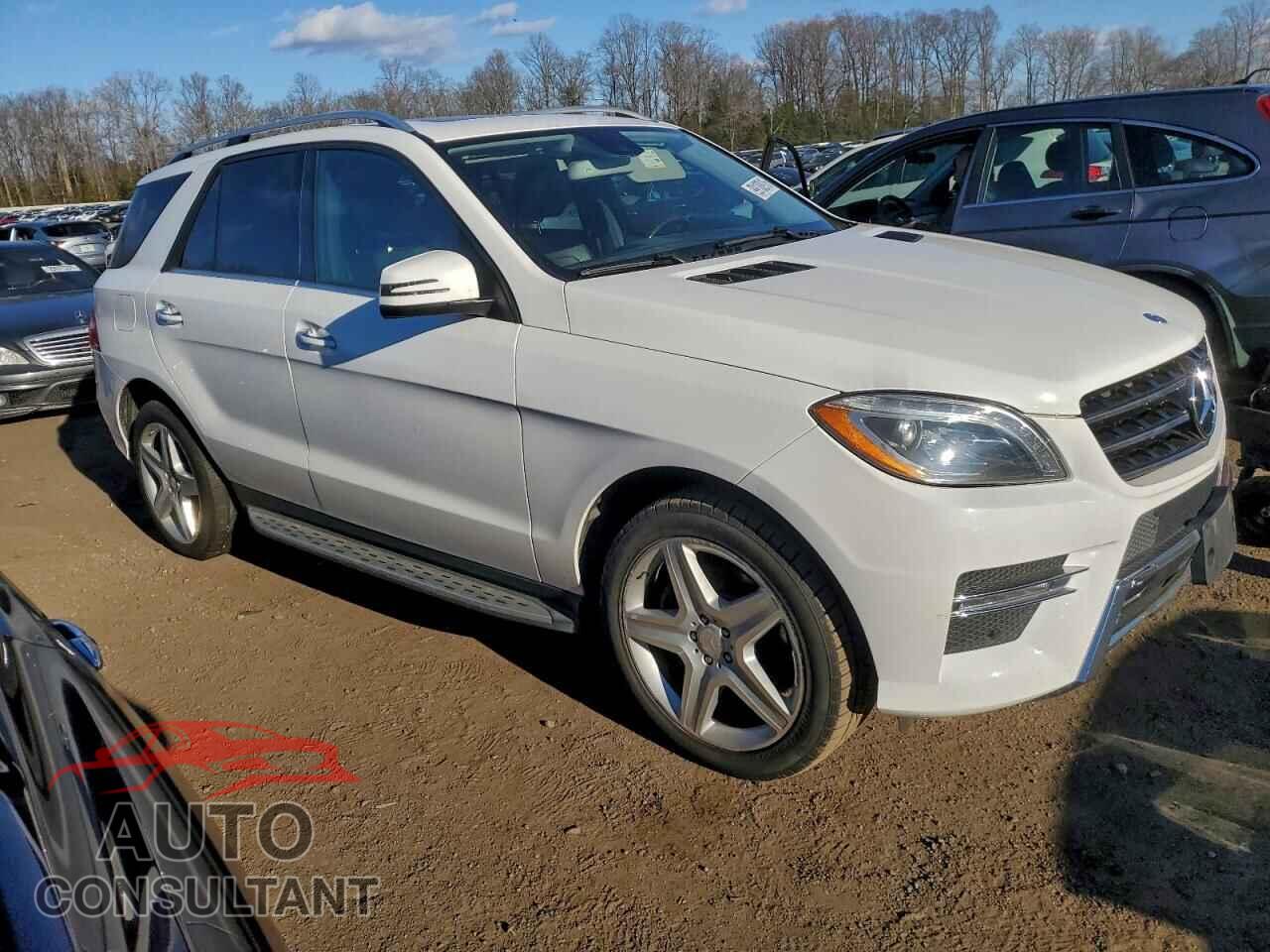 MERCEDES-BENZ M-CLASS 2014 - 4JGDA5JB1EA303636
