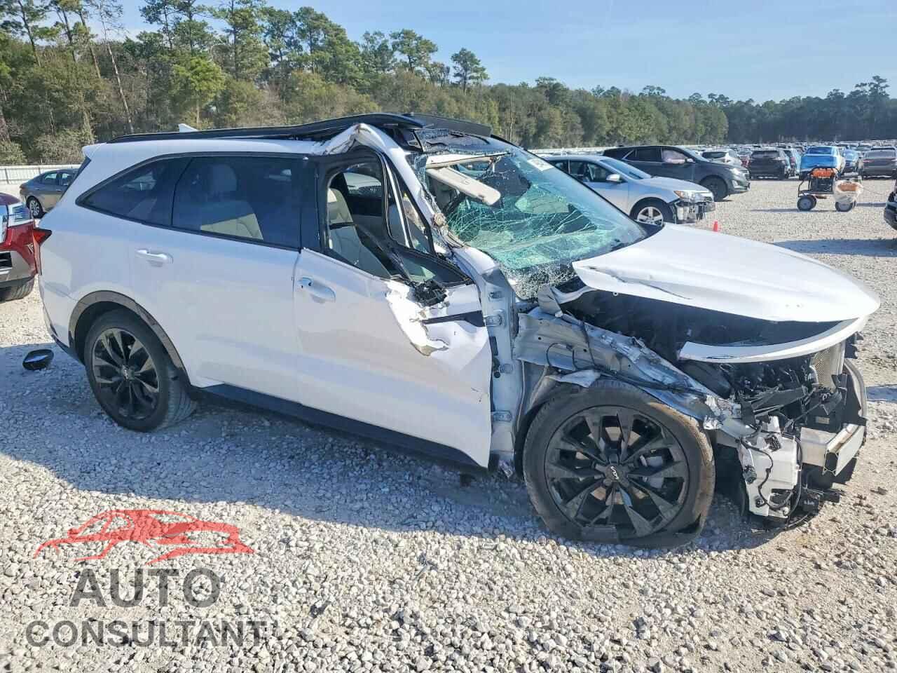KIA SORENTO 2023 - 5XYRKDLF9PG250348