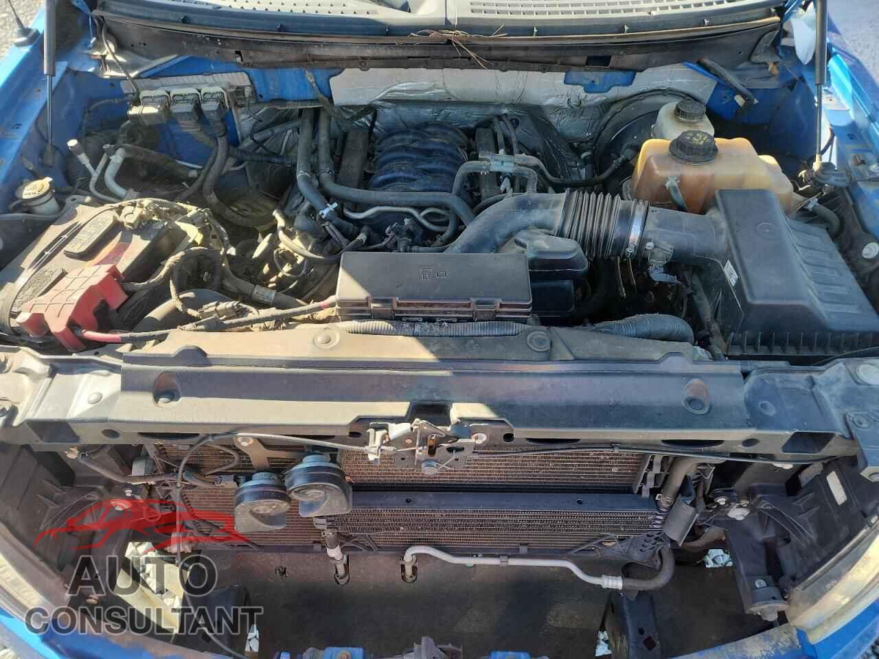 FORD F-150 2013 - 1FTFX1CF2DFA37498
