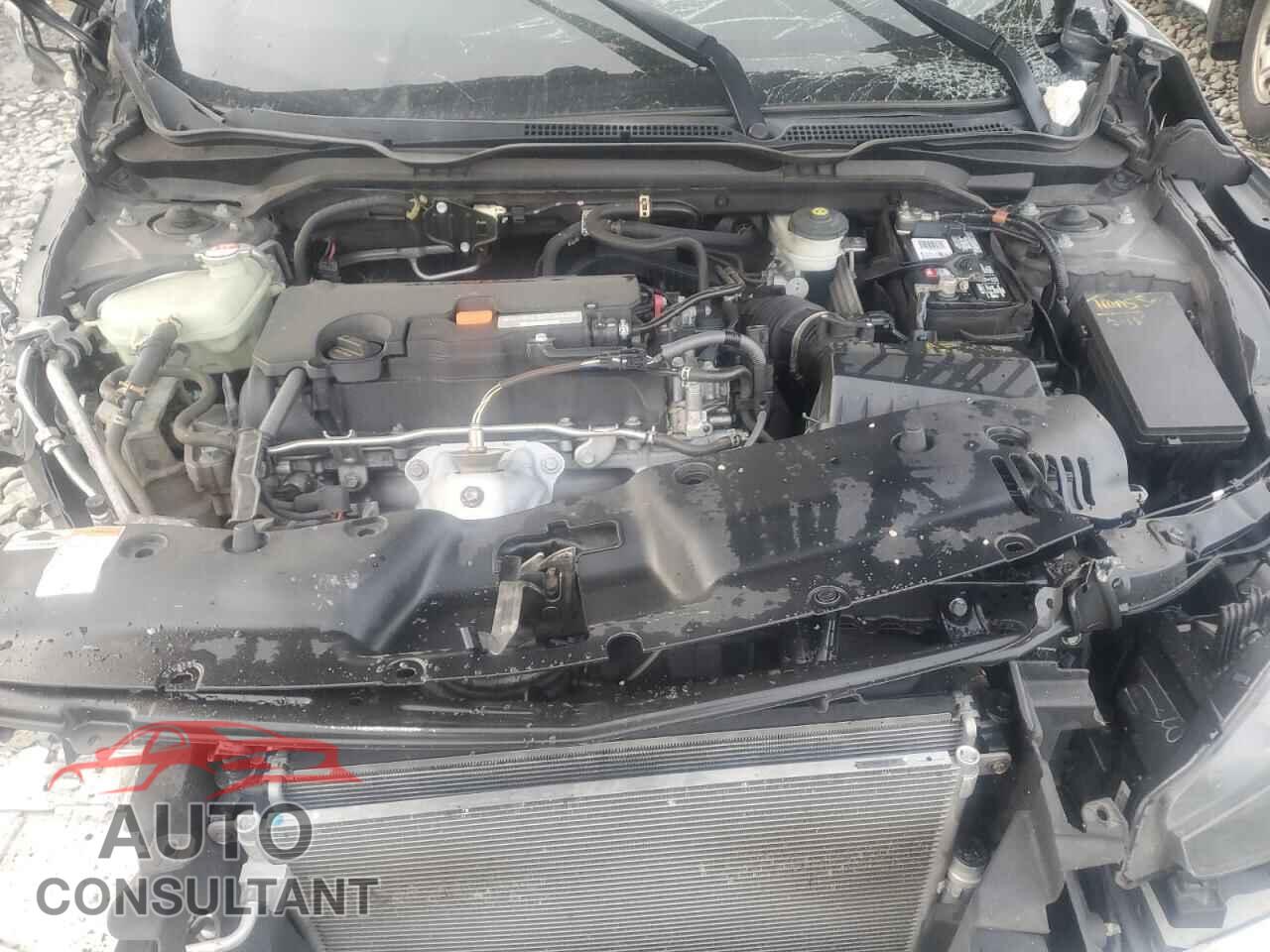 HONDA CIVIC 2019 - 2HGFC2F67KH548263