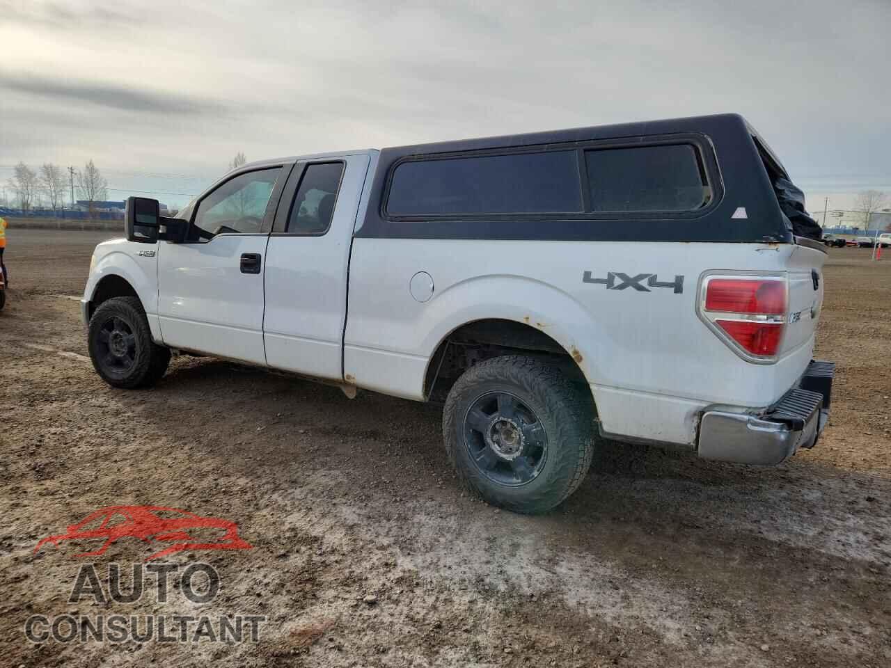 FORD F-150 2011 - 1FTFX1EF4BFB86165