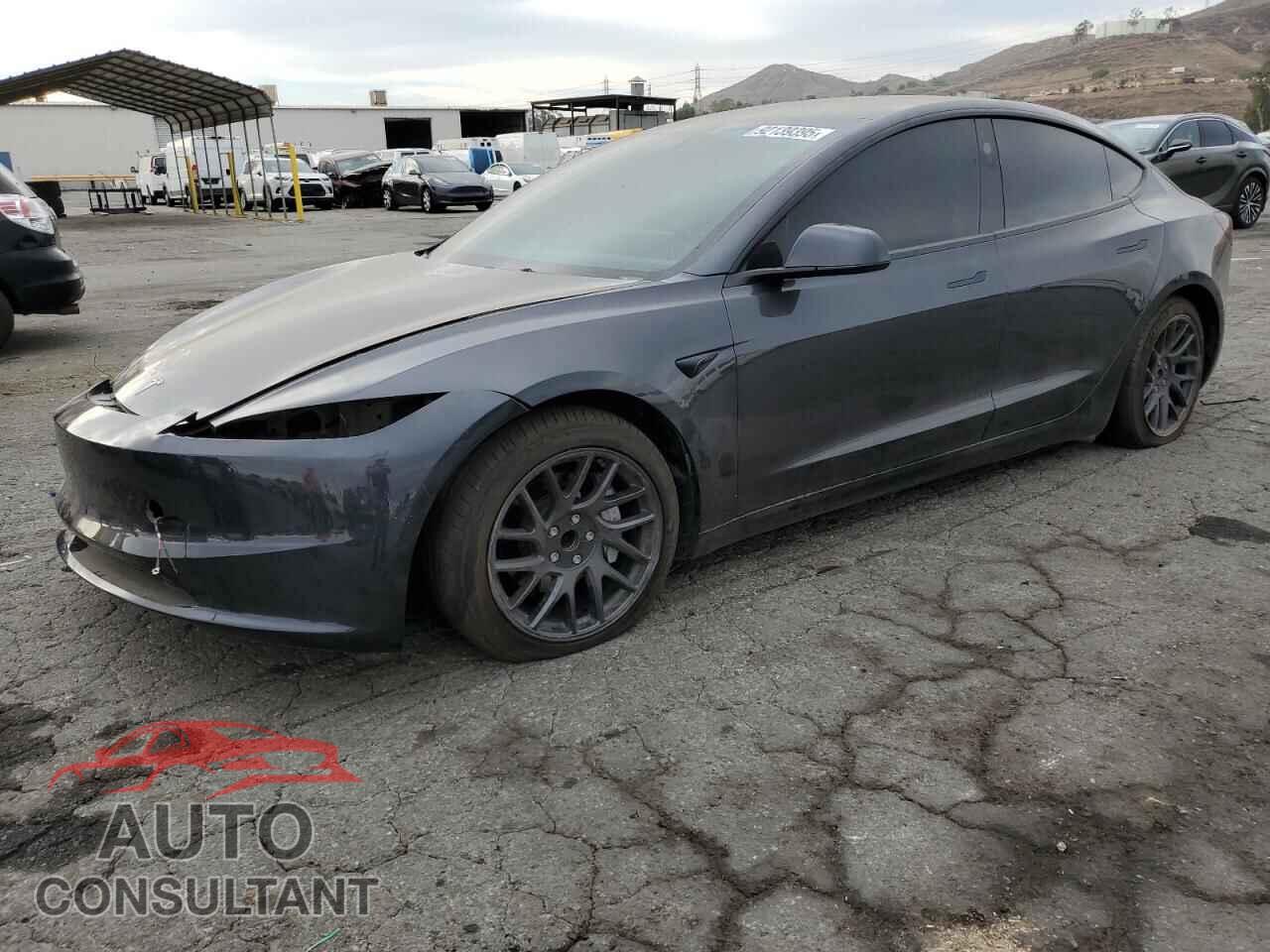 TESLA MODEL 3 2024 - 5YJ3E1EA4RF834129