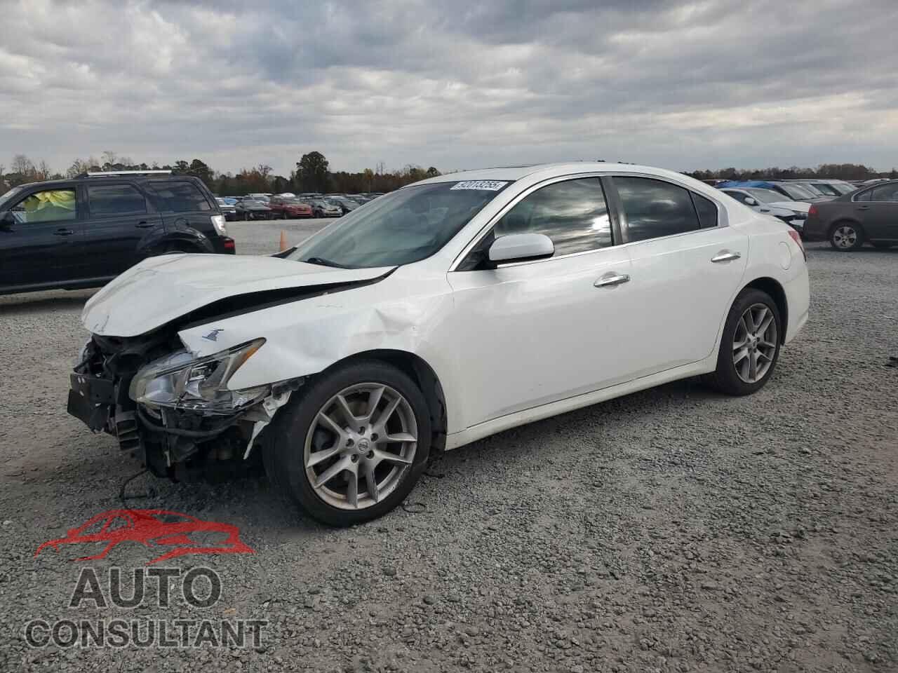 NISSAN MAXIMA 2011 - 1N4AA5AP6BC811481