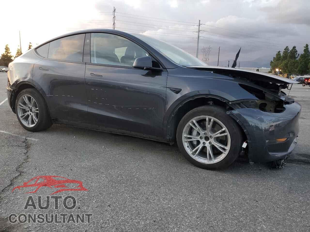TESLA MODEL Y 2024 - 7SAYGAEE4RF059756