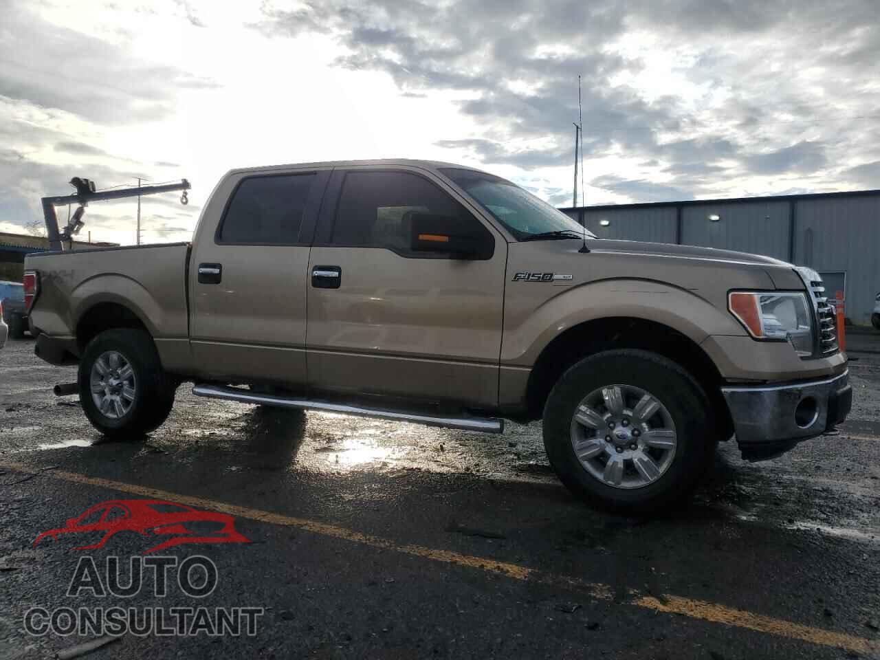 FORD F-150 2012 - 1FTFW1EF0CFA71499