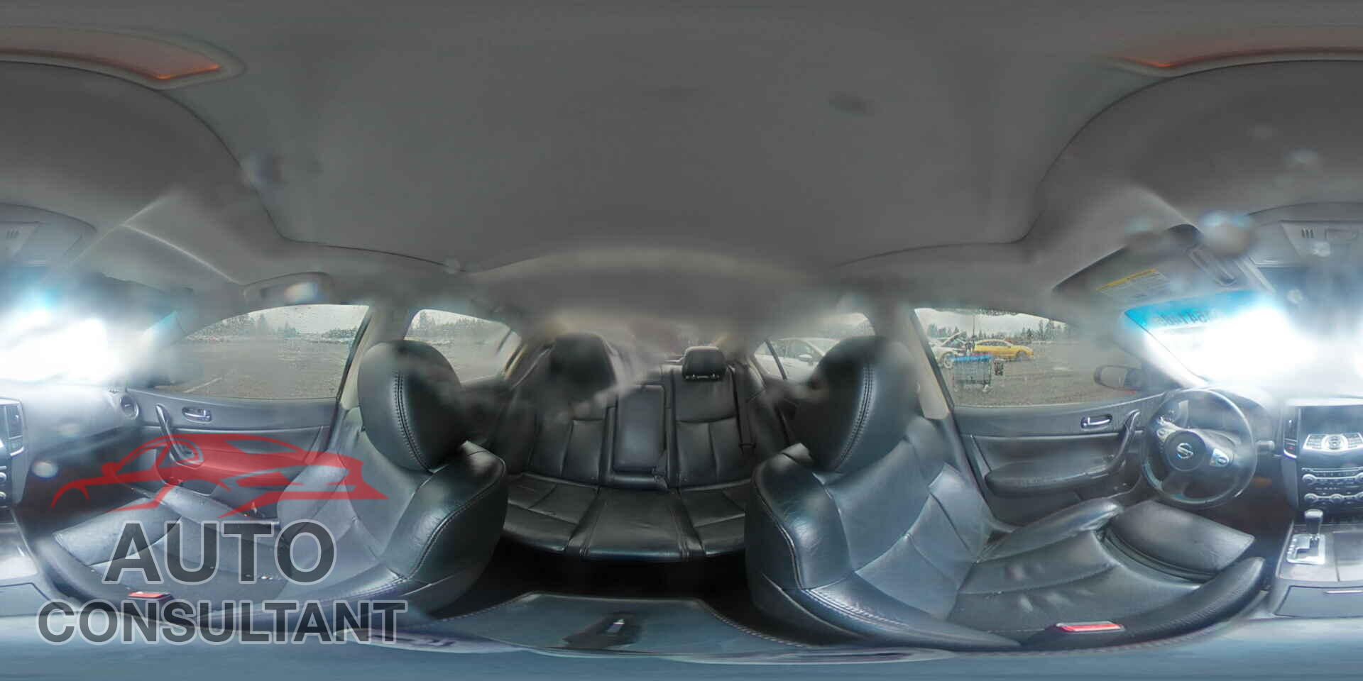 NISSAN MAXIMA 2009 - 1N4AA51E99C827425