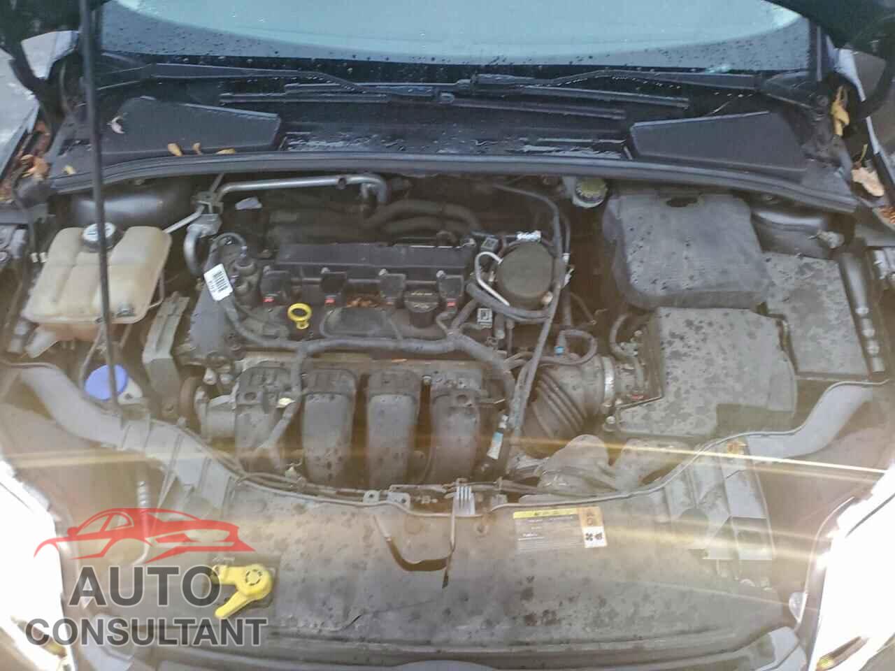FORD FOCUS 2013 - 1FADP3K21DL324128