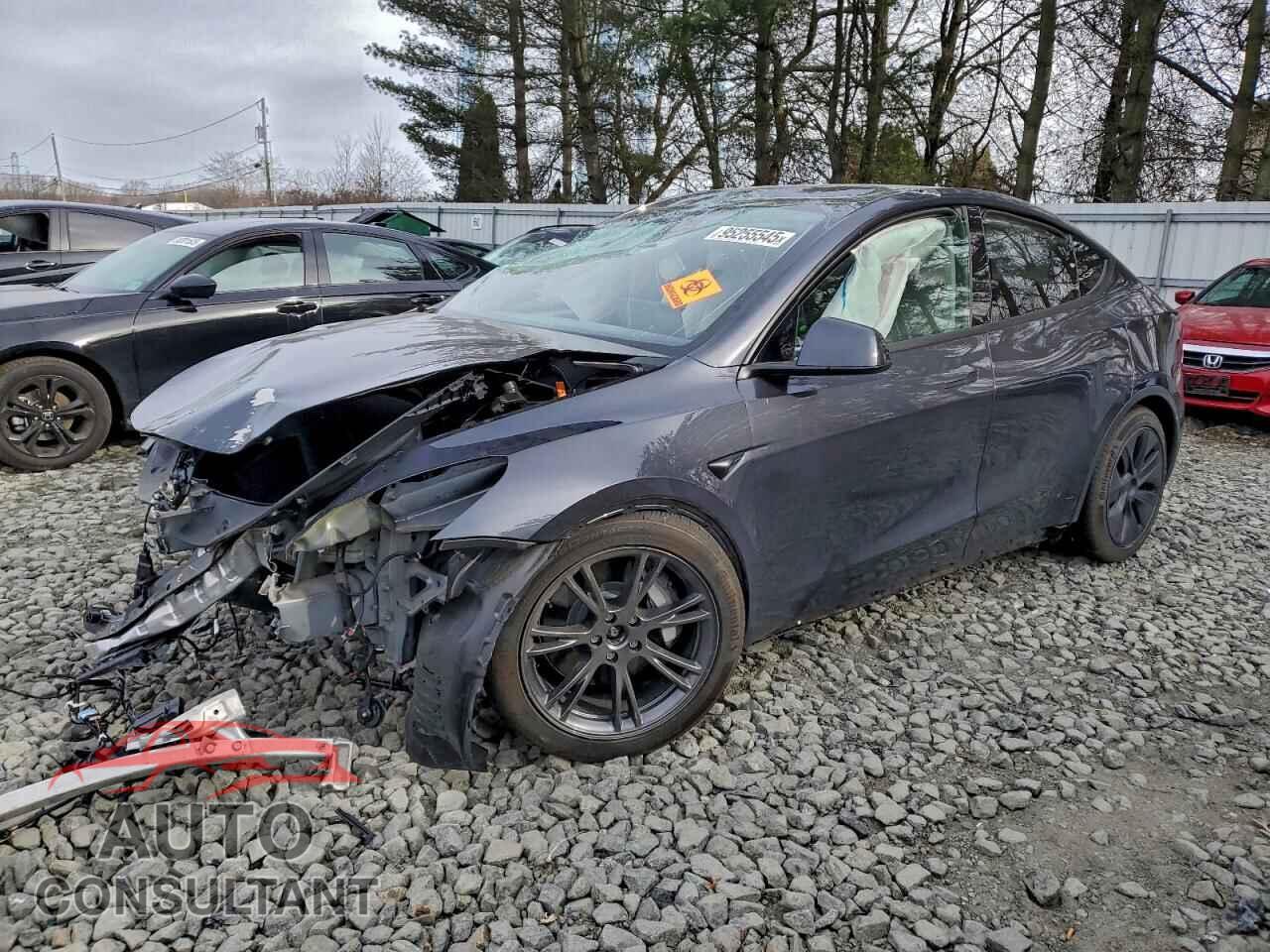 TESLA MODEL Y 2024 - 7SAYGAEE8RF184310