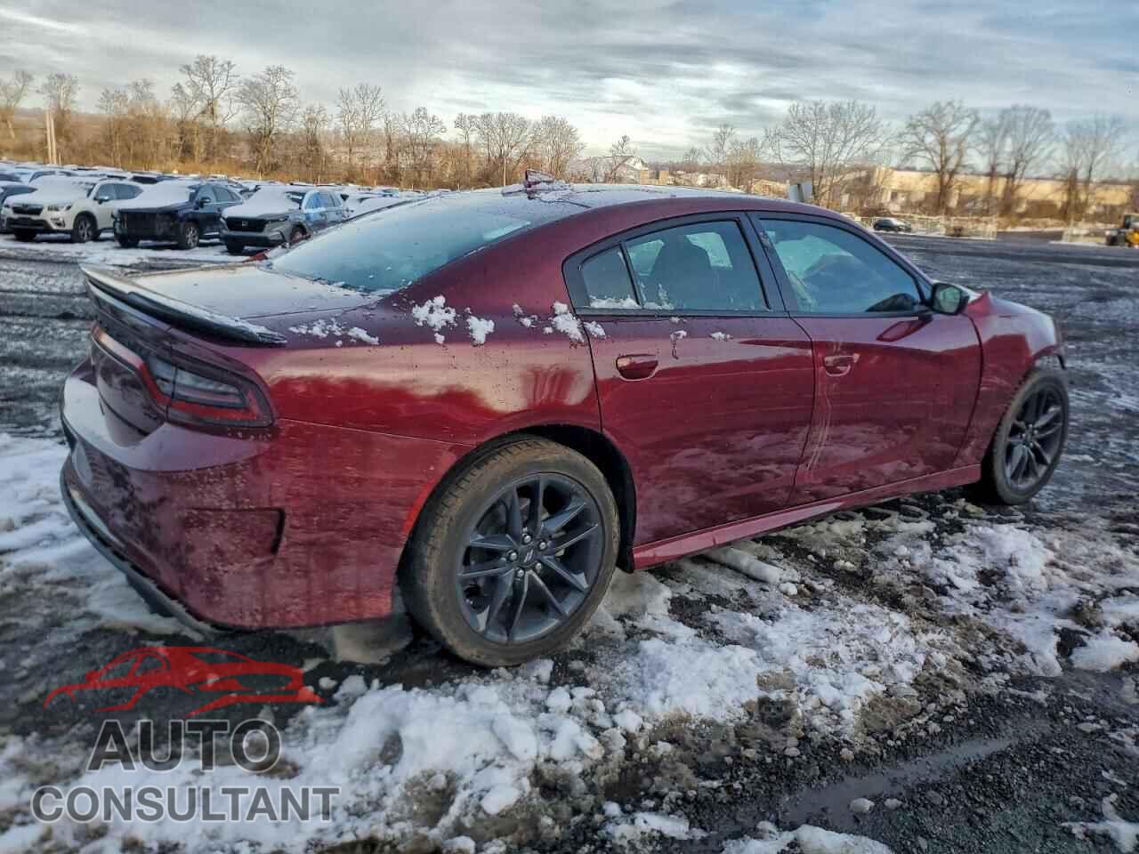 DODGE CHARGER 2023 - 2C3CDXMG3PH537361
