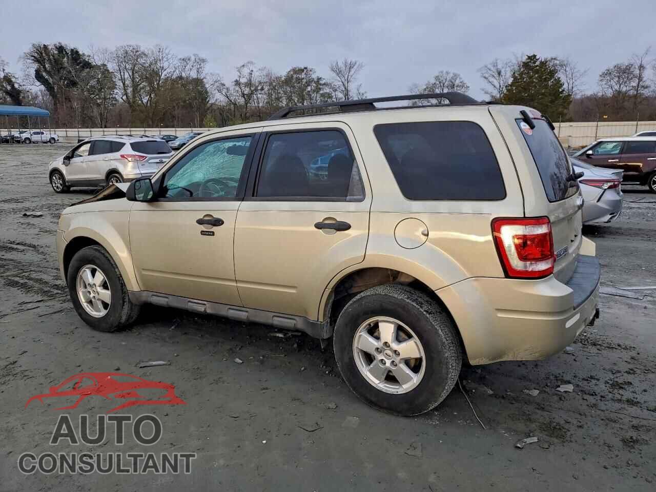 FORD ESCAPE 2011 - 1FMCU0DG1BKB88619