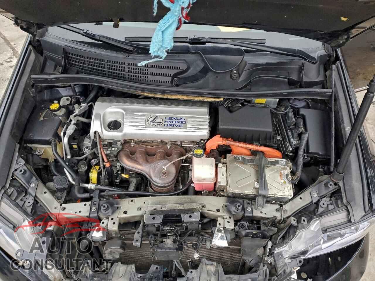 LEXUS HS 2010 - JTHBB1BA5A2007030