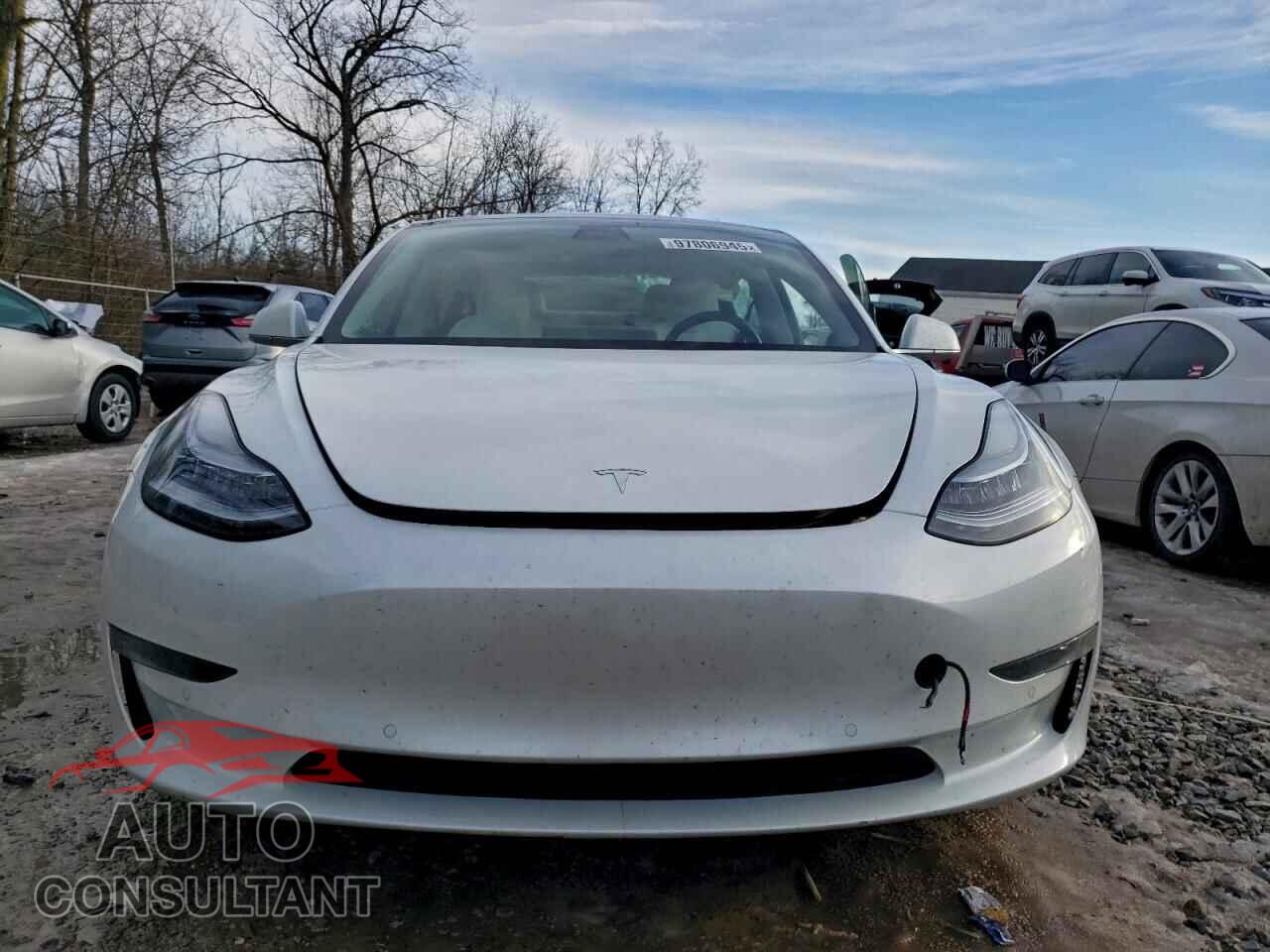 TESLA MODEL 3 2019 - 5YJ3E1EB6KF392498