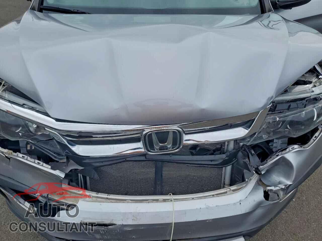 HONDA PILOT 2019 - 5FNYF5H48KB044709