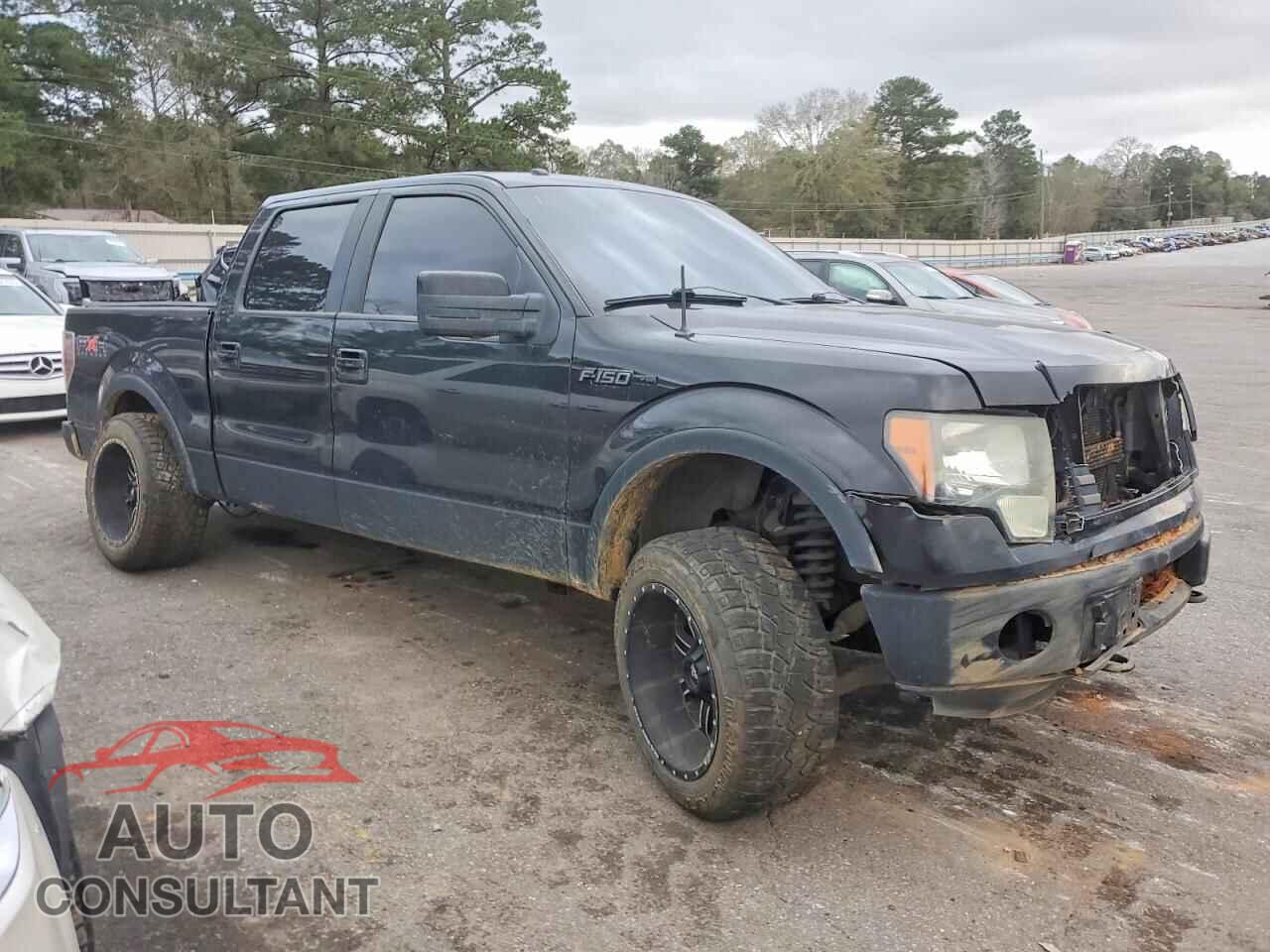 FORD F-150 2011 - 1FTFW1EF9BFB10184