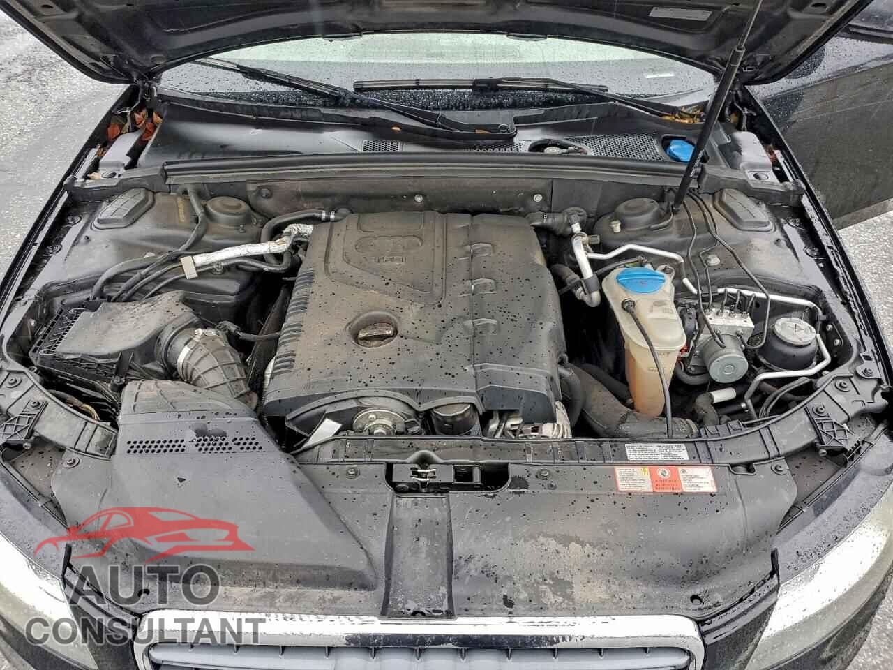 AUDI A4 2009 - WAULF78K19N010334
