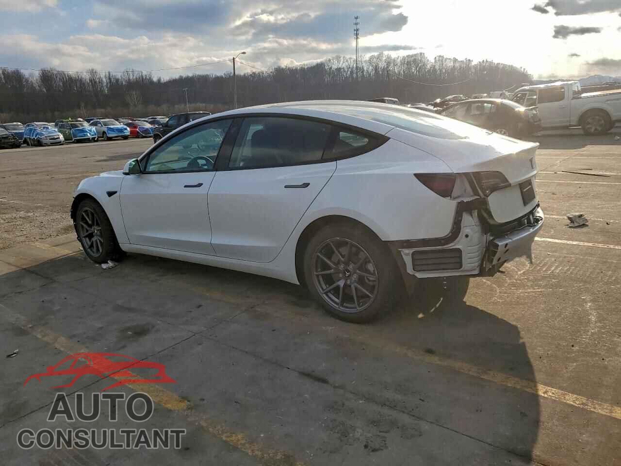 TESLA MODEL 3 2023 - 5YJ3E1EA5PF430995