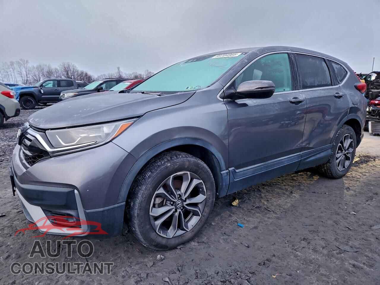 HONDA CRV 2020 - 2HKRW2H56LH654221