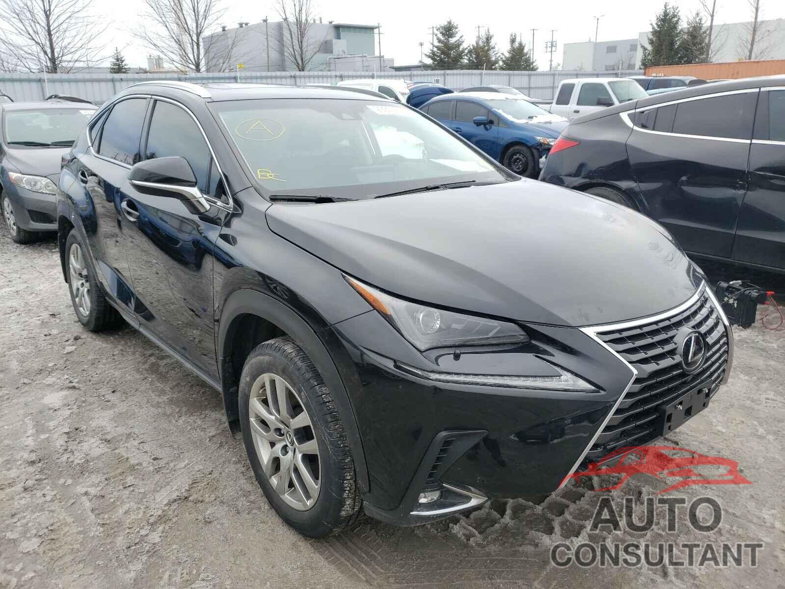 LEXUS NX 2019 - JTJBARBZ9K2187930