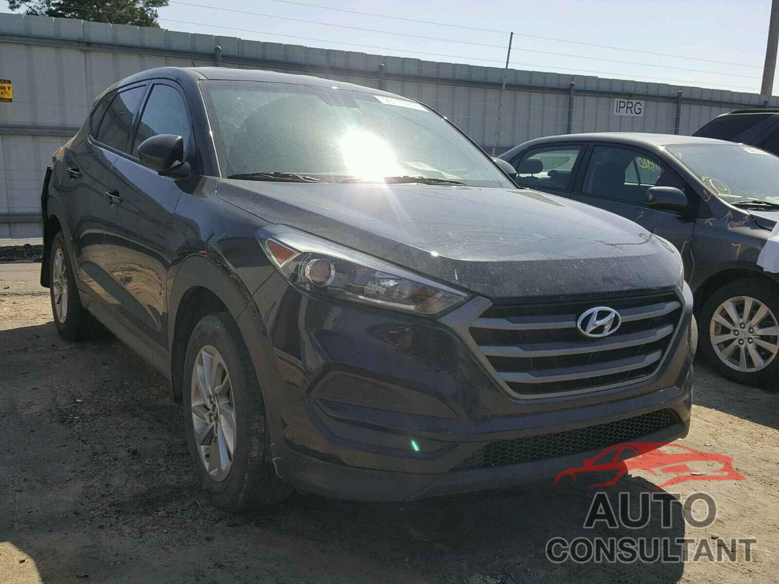 HYUNDAI TUCSON 2016 - KM8J23A42GU127445