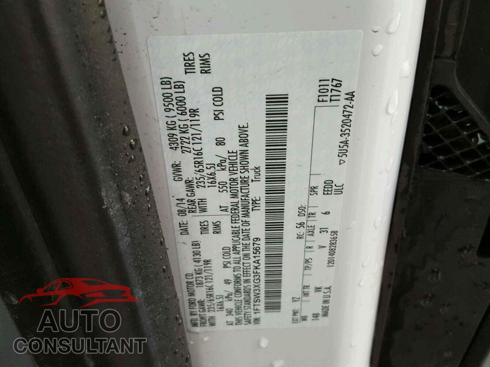 FORD TRANSIT CO 2015 - 1FTSW3XG3FKA15679