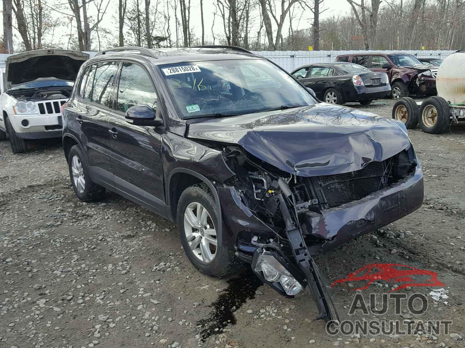 VOLKSWAGEN TIGUAN 2016 - WVGBV7AX7GW591199